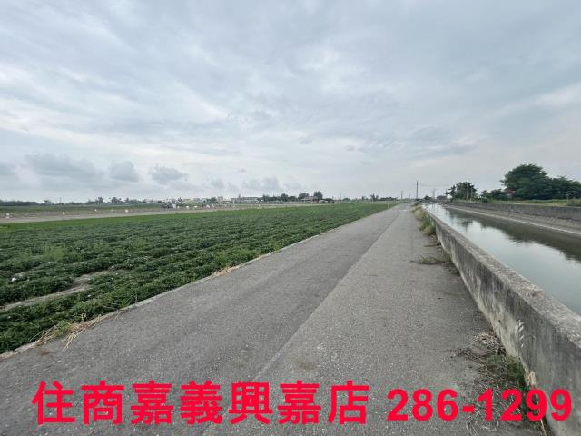 雲林農地-7