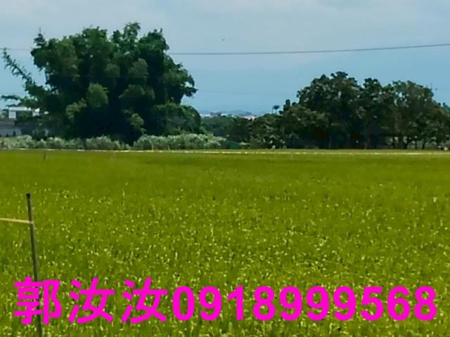 台南東山農地-10