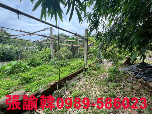 南投草屯山坡地-10
