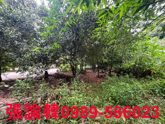 南投草屯山坡地-8