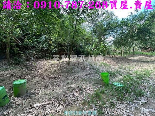 關廟農地-10