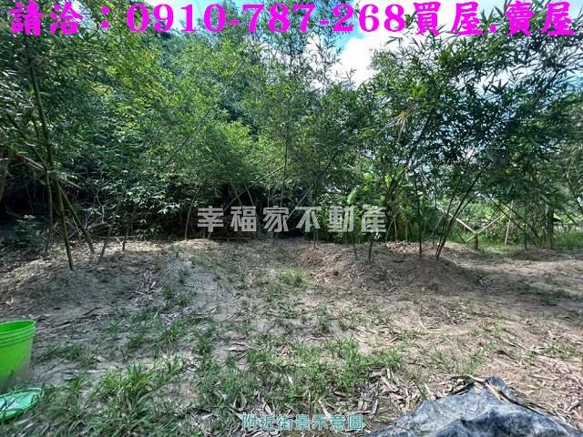 關廟農地-13
