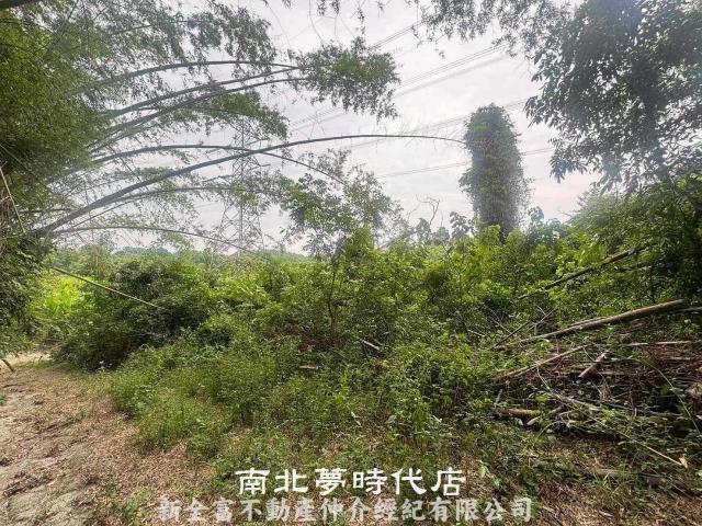 左鎮農地-10