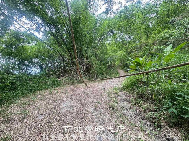 左鎮農地-11