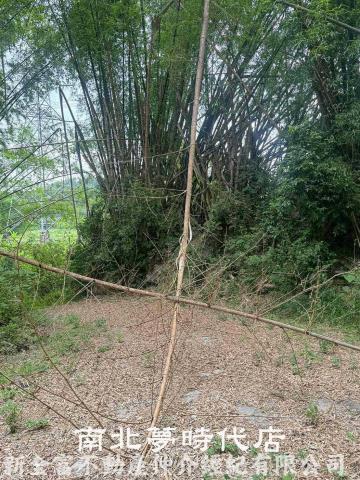 左鎮農地-12