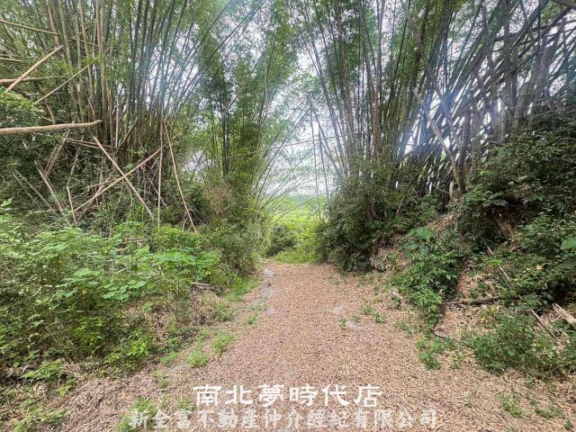 左鎮農地-2