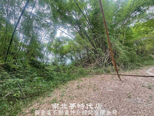左鎮農地-3