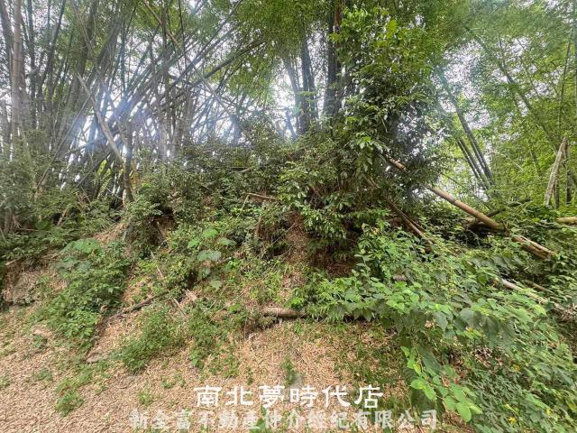 左鎮農地-4