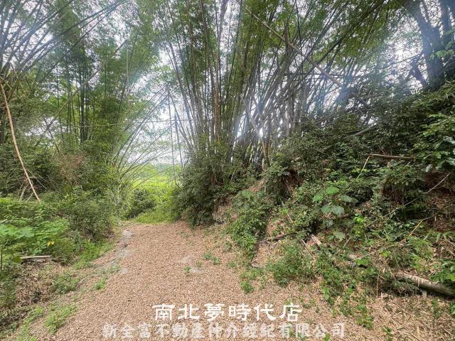 左鎮農地-5