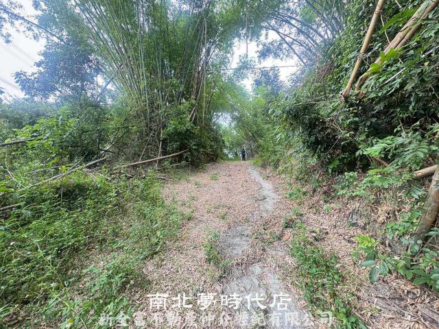 左鎮農地-6