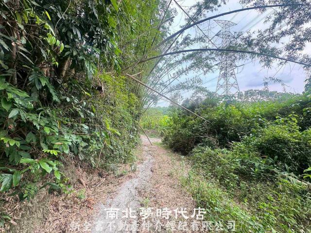左鎮農地-7