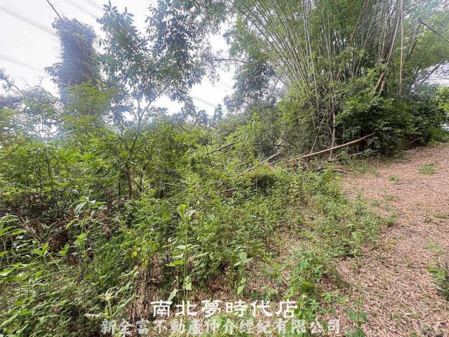 左鎮農地-8