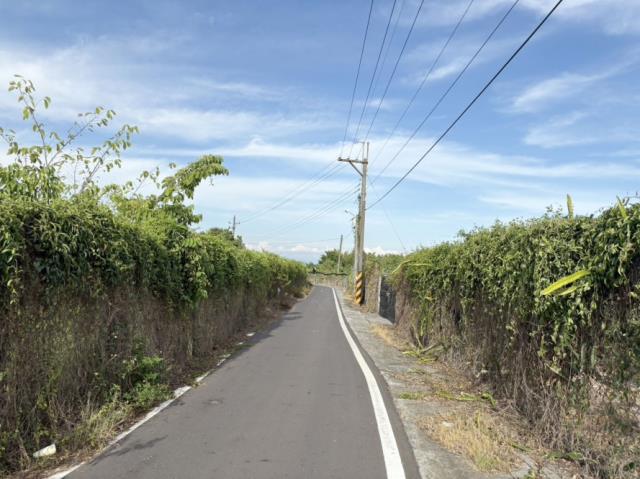 歸仁農地-8