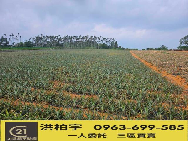 南投南投市農地-1