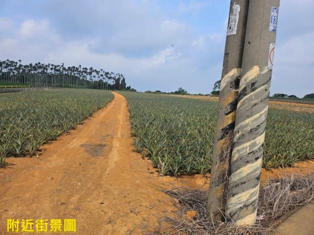 南投南投市農地-4