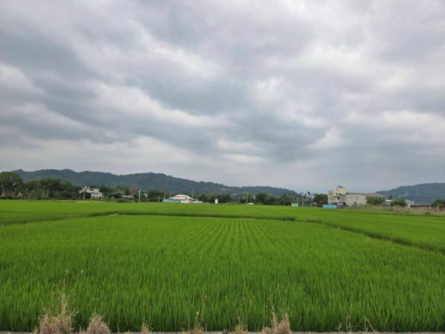 南投南投市農地-4