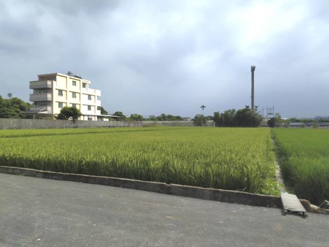 南投草屯農地-6