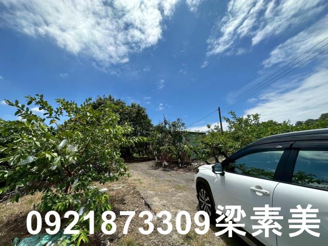 玉井農地-10