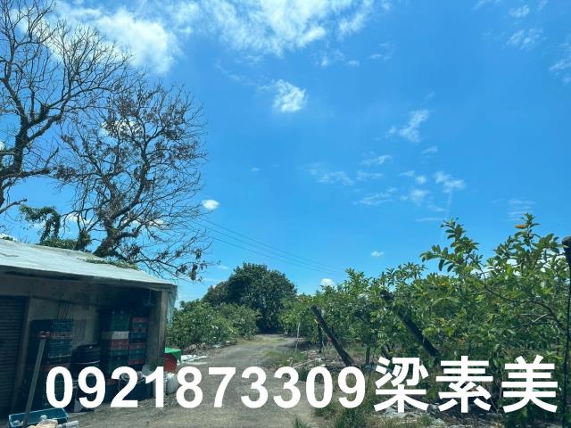 玉井農地-11