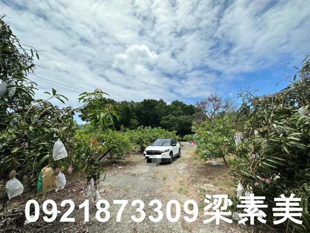 玉井農地-2