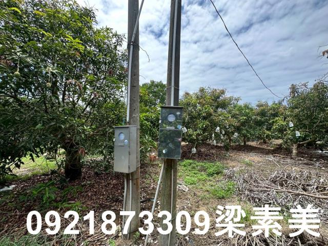玉井農地-3