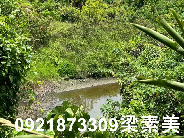 玉井農地-5