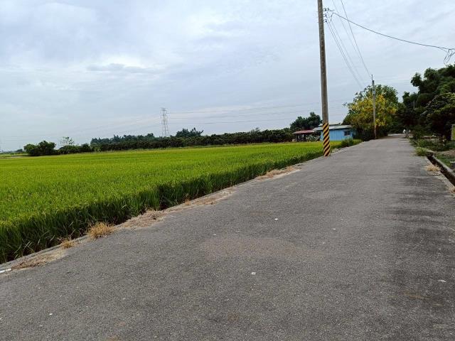 東山農地-14
