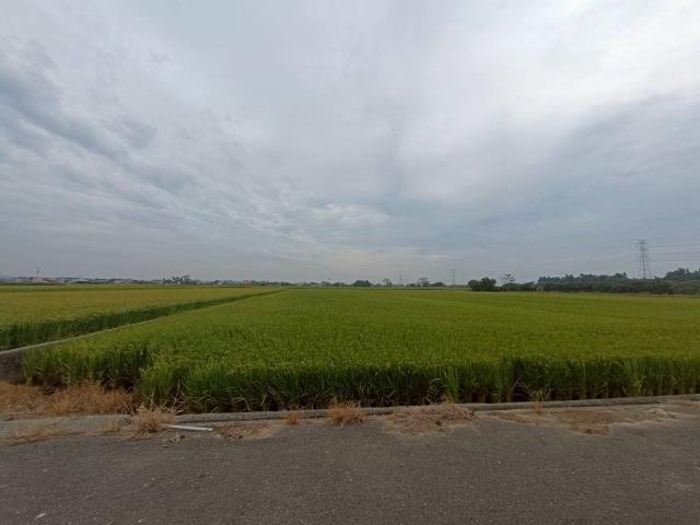 東山農地-2