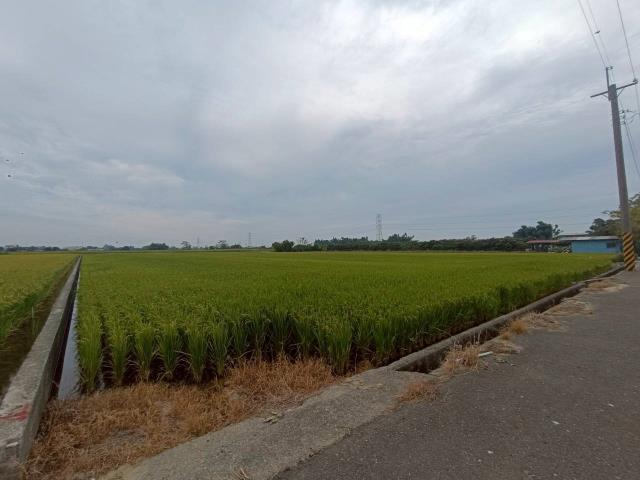 東山農地-3