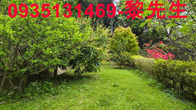 北埔農地-13