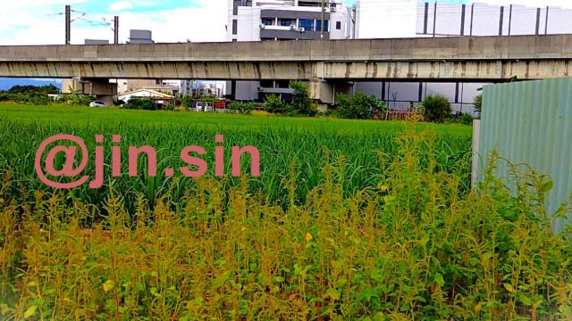台南建地-4