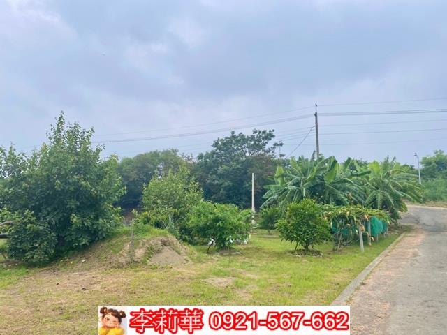 台南安南農地-2