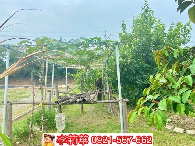 台南安南農地-6