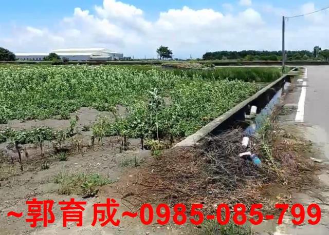 雲林水林農地-5