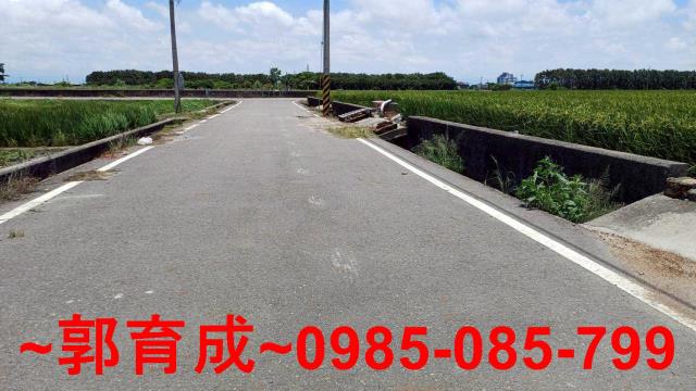 雲林水林農地-7