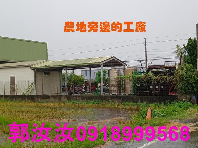 歸仁農地-7
