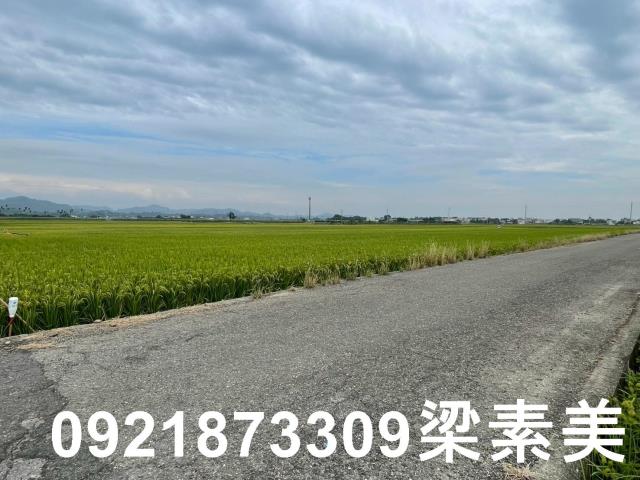 東山農地-4