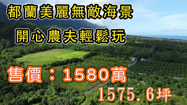 東河農地-1