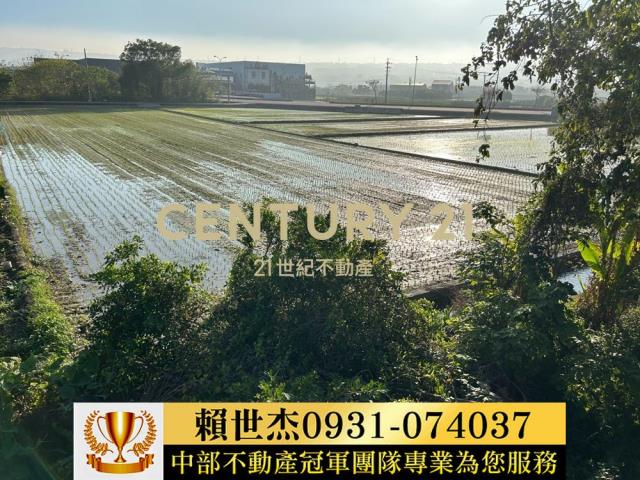 南投農地-6