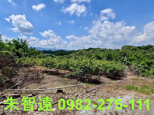 玉井建地-3