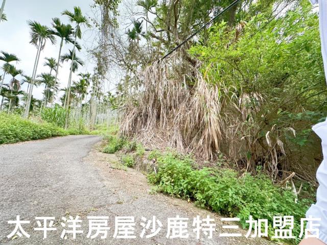 中寮山坡地-2