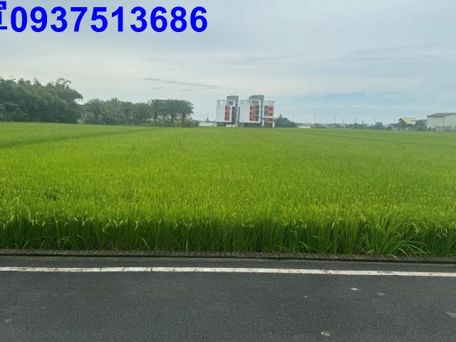 壯圍農地-3