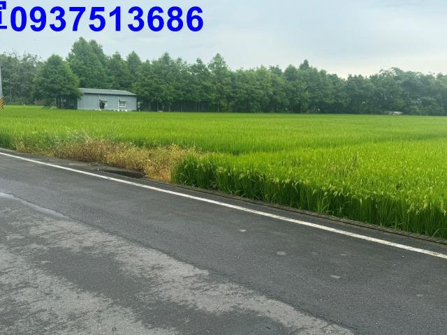 壯圍農地-5