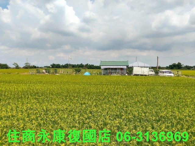 台南農地-1