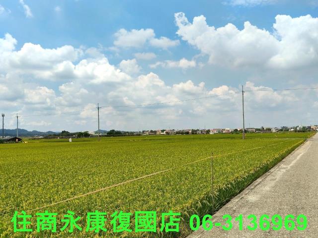 台南農地-4