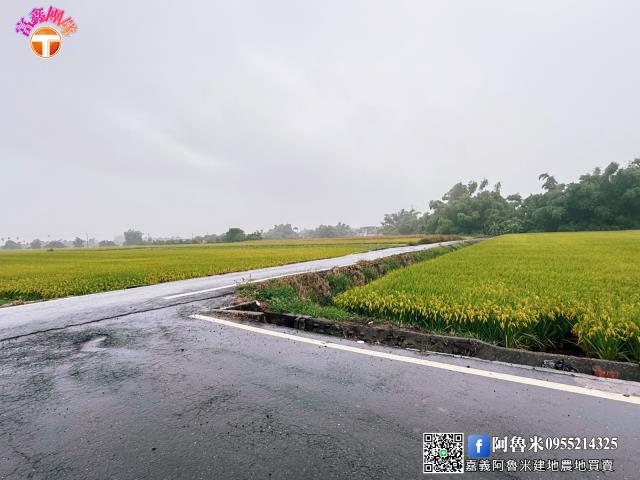台南農地-2