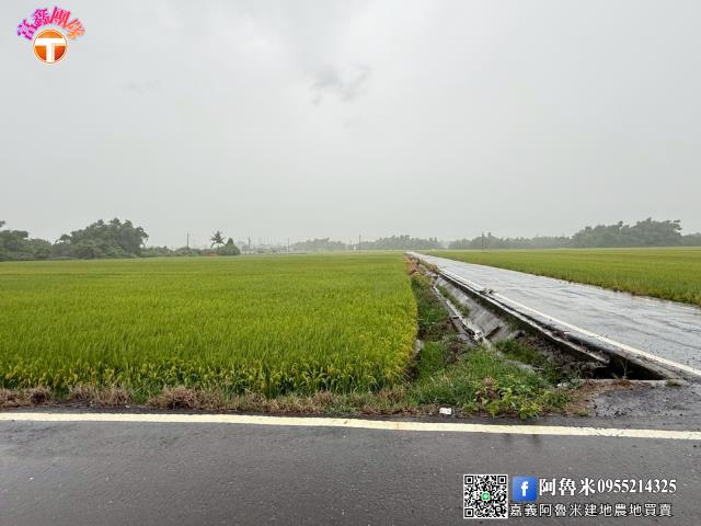 台南農地-5
