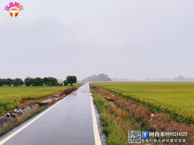 台南農地-6