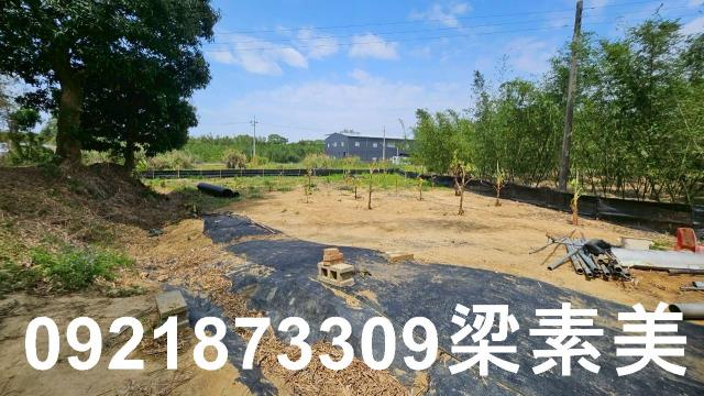 台南關廟農地-2