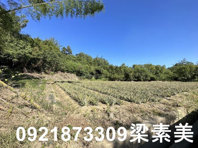 台南關廟農地-5